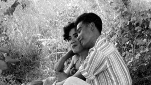 กะเทยเป็นเหตุ Bild 1