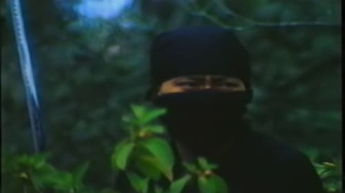 Das Vermächtnis der Ninja Bild 2