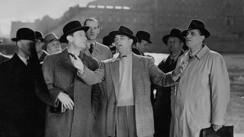 Liebe nach Noten Bild 3