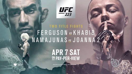 UFC 223: Khabib vs. Iaquinta Bild 2