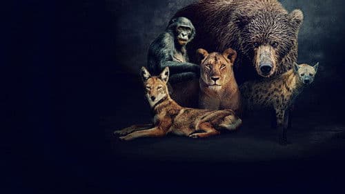 Queens – Königinnen des Tierreichs Bild 5