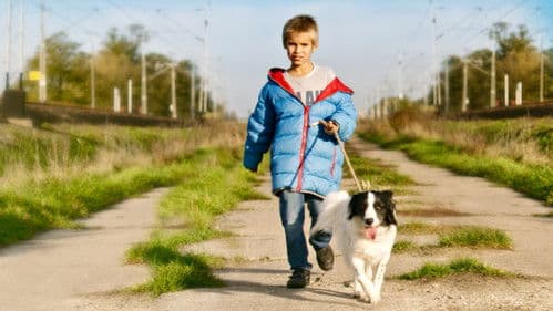 Slava der Hund Bild 1