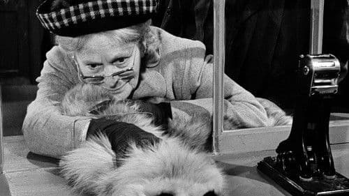 Støvsugerbanden Bild 4