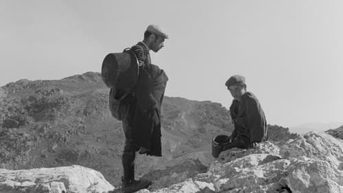 Die Banditen von Orgosolo Bild 5