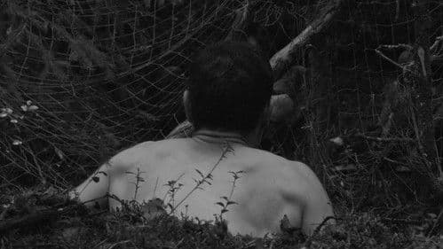 На этой земле Bild 7