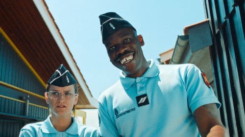 Year Of The Shark Bild 6