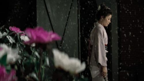 緋牡丹博徒　花札勝負 Bild 6