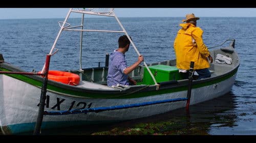 Shifting Tides Bild 1