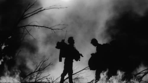 Ein Brief, der nie ankam Bild 3