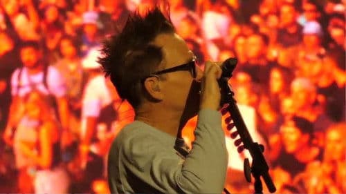 blink-182: Live at Lollapalooza Bild 7