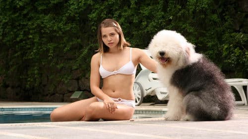 Bonitinha, Mas Ordinária Bild 2