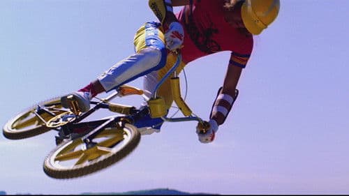 Die BMX-Bande Bild 8