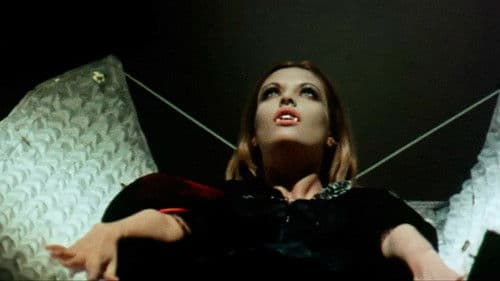 Die Nacht der offenen Särge Bild 3