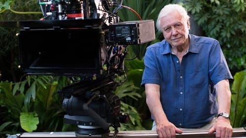 Attenborough at 90: Behind the Lens Bild 5