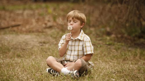 Wie ein Staubkorn im Wind Bild 3