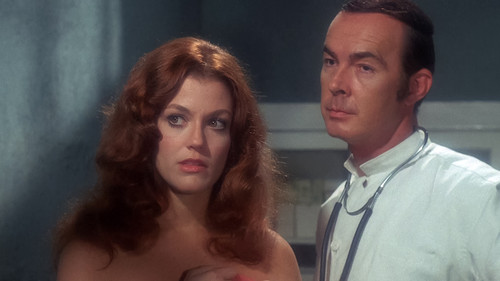 Big Doll House Bild 5