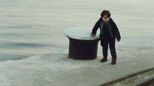 Landschaft im Nebel Bild 3