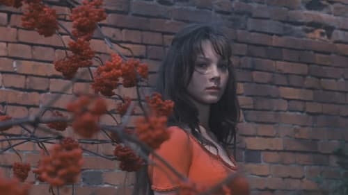 Мой ласковый и нежный зверь Bild 1