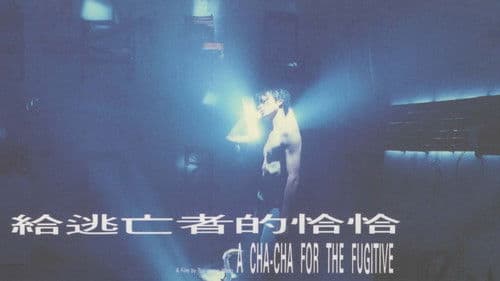 給逃亡者的恰恰 Bild 2