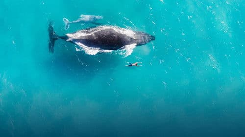 Сървайвър България Bild 2