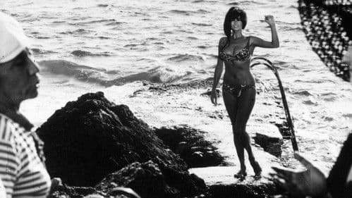 Scusi, lei è favorevole o contrario? Bild 2