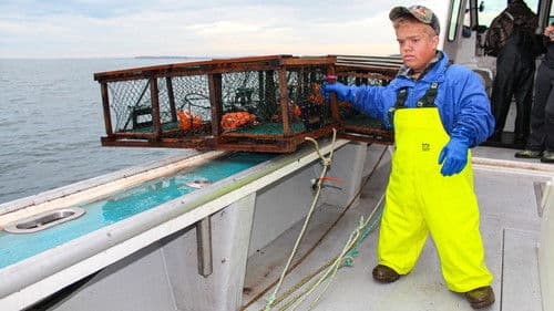 Incredibly Small World Bild 7