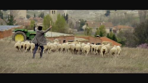 Las ovejas no pierden el tren Bild 4