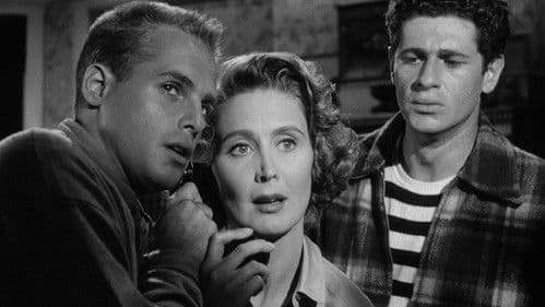 The Shadow on the Window Bild 7