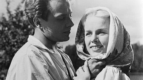 Orpopojan valssi Bild 2