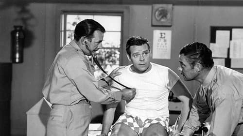 Blondie's Hero Bild 1