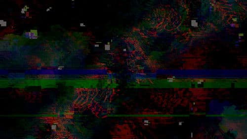 A Mouth Full of Wires Bild 1