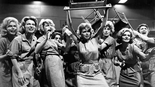 House of Women Bild 1