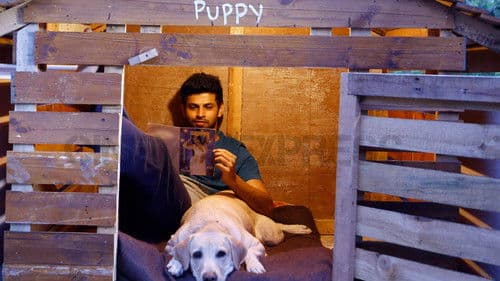 பப்பி Bild 1