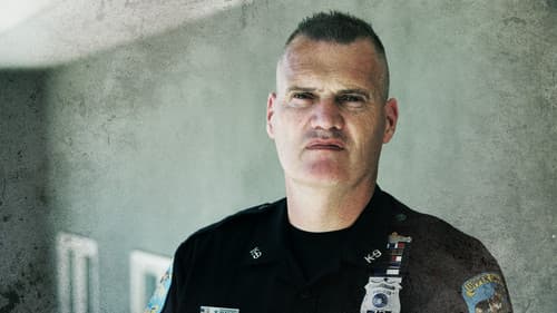 Politijagt USA Bild 1