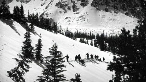 Błękitny krzyż Bild 7