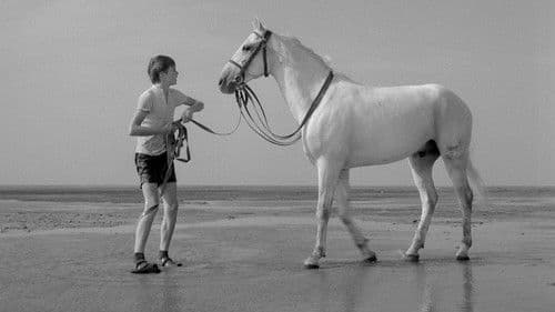 Der Junge, der Pferde liebte Bild 8