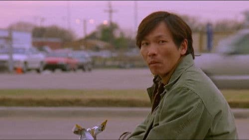 The Beautiful Country Bild 3