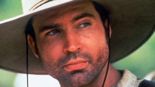 Weg der Träume Bild 3