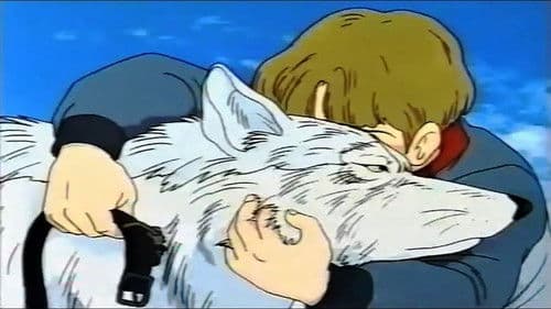 走れ！白いオオカミ Bild 1