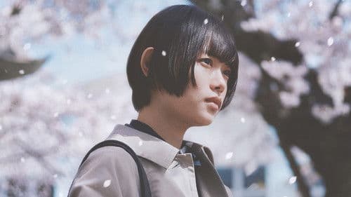 朽ちないサクラ Bild 4