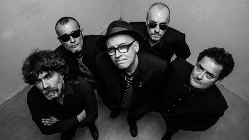 Siniestro Total: Que parezca un accidente Bild 1