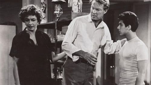 Look in Any Window Bild 2