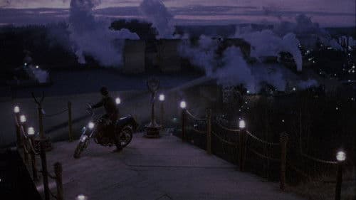 Jung und rücksichtslos Bild 8