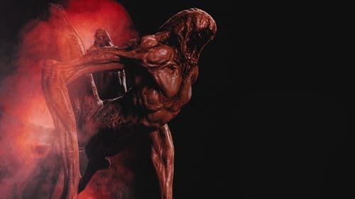 Desert Shadows Bild 2