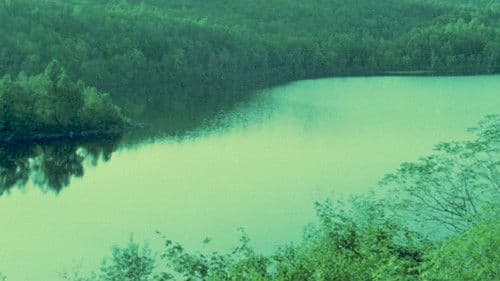 The Winter There Was Very Little Snow Bild 7