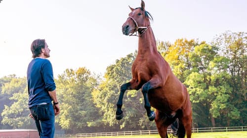 2 unter Millionen Bild 2