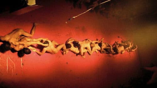 Anatomia do Fauno Bild 2