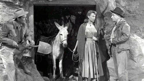 Angel in Exile Bild 1