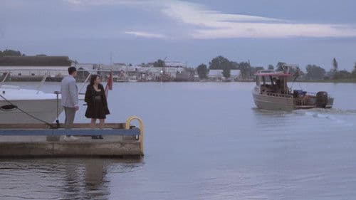 Violet Essence Bild 1