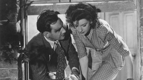 I See a Dark Stranger Bild 5